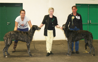 Best Puppy Houndshow 2014